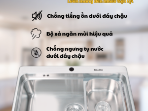 Chậu rửa chén Malloca MS 1022D