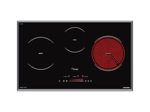 Bếp Từ Canzy CZ-TL67GB