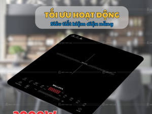 Bếp Từ Malloca MCT K30