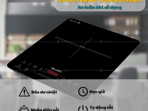 Bếp Từ Malloca MCT K30