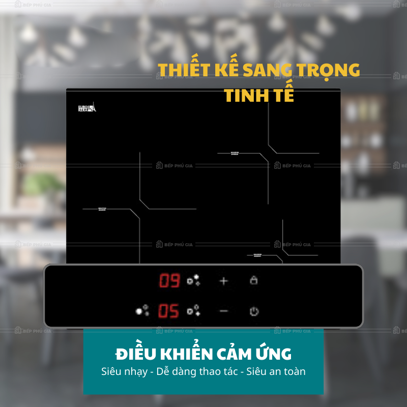 Bếp Từ Ba Malloca MH 03I N