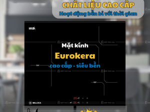 Bếp Từ Malloca MH 03I N