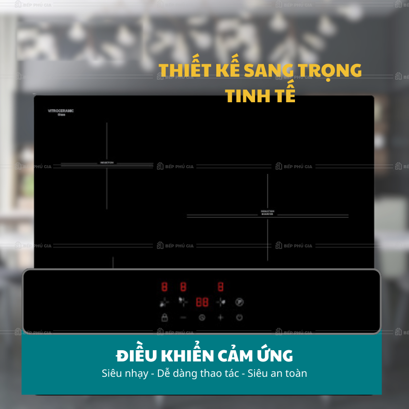 Bếp Từ Ba Malloca MH 5903 IN