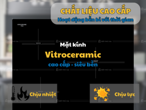Bếp Từ Malloca MH 5903 IN