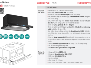 Máy Hút Mùi GrandX GX H70F75B